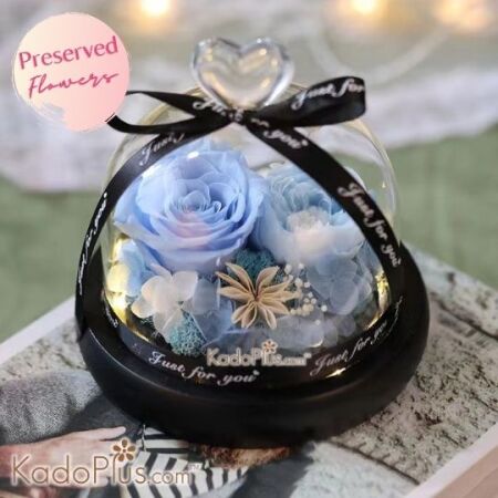 Eternity Preserved Rose Double Blue