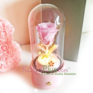 preserved flower jakarta, preserved flower indonesia, preserved flower LED bluetooth speaker