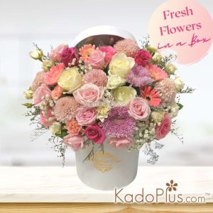 flower box, bunga box, rangkaian bunga box, congratulation flower