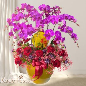 Rangkaian anggrek Jakarta Bogor Depok Tangerang Bekasi proseperous blooms