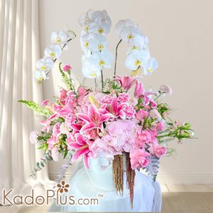 Rangkaian anggrek Jakarta Bogor Depok Tangerang Bekasi Celestial blooms